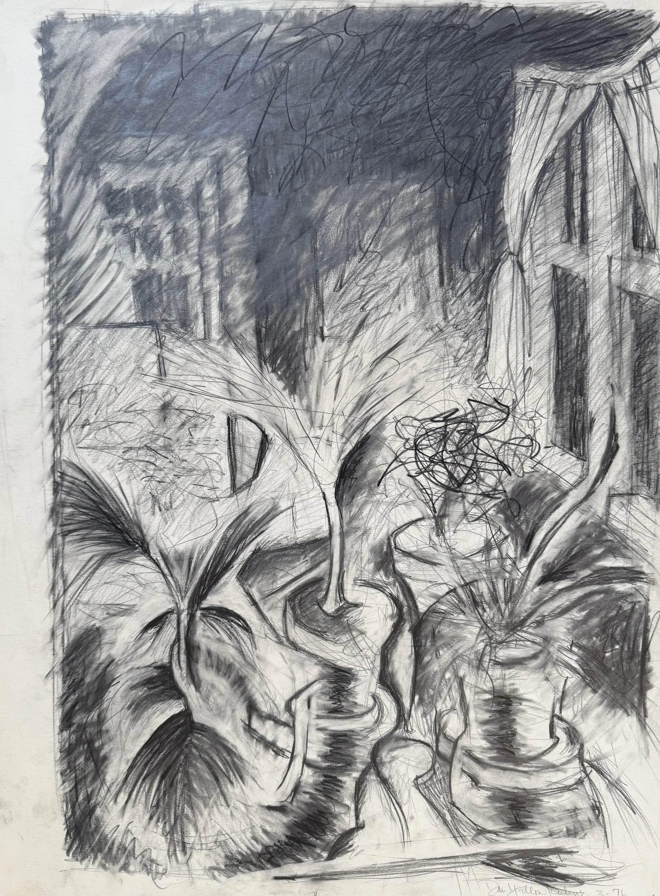 Black and white sketch of a still life scene featuring two potted plants with large, broad leaves and a smaller plant between them, with a background of a trellis and nearby building structures.