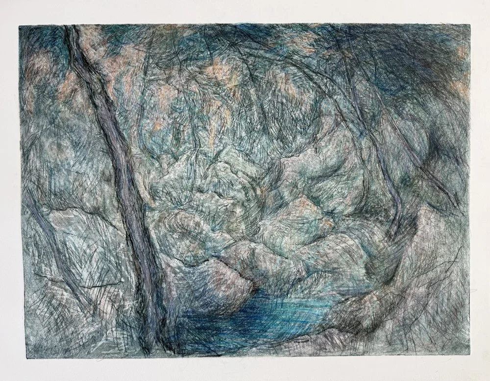 A colorful sketch of a rocky river or stream surrounded by trees with branches, rendered with expressive, layered lines.