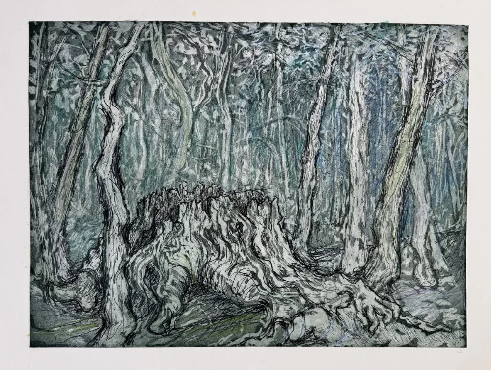 Sketch of a dense forest scene with twisted tree trunks and a large, gnarled tree stump in the foreground.