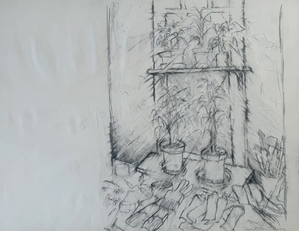 A sketch of a cluttered outdoor scene with potted plants, a table, and chairs.