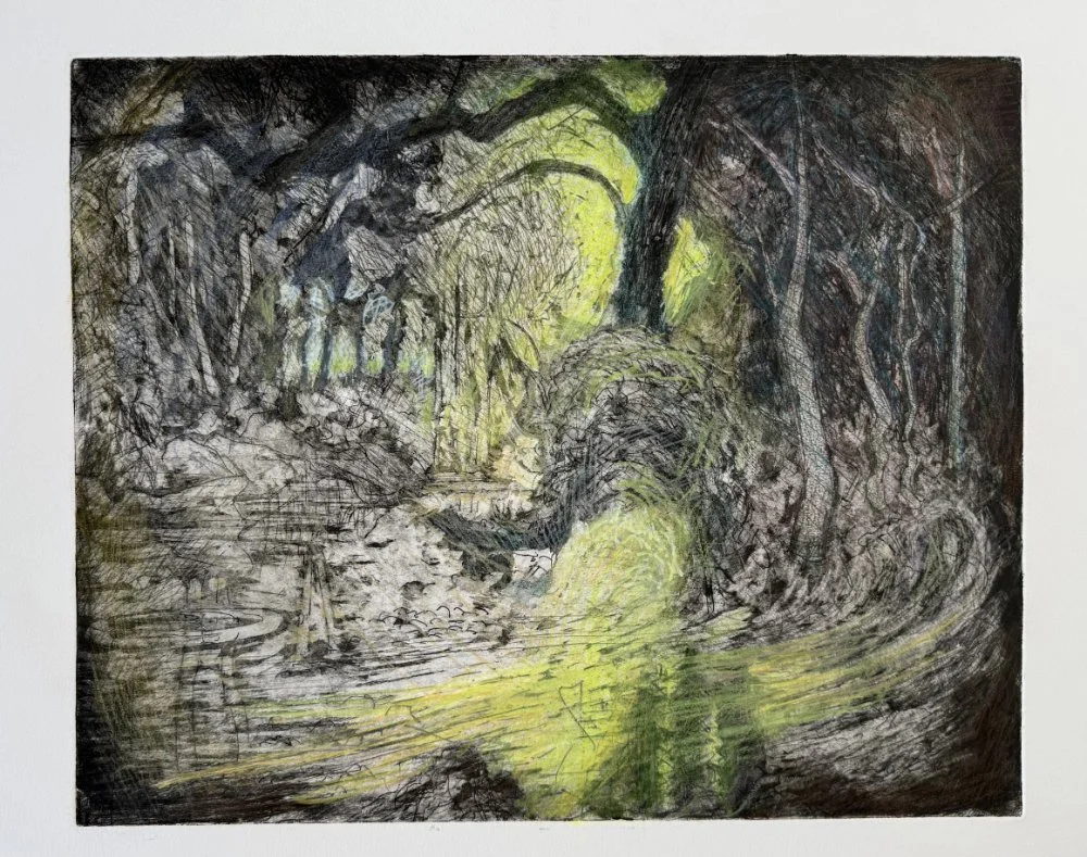 An abstract drawing of a forest scene with trees, a stream, and sunlight filtering through the branches, created with black, green, and yellow lines.