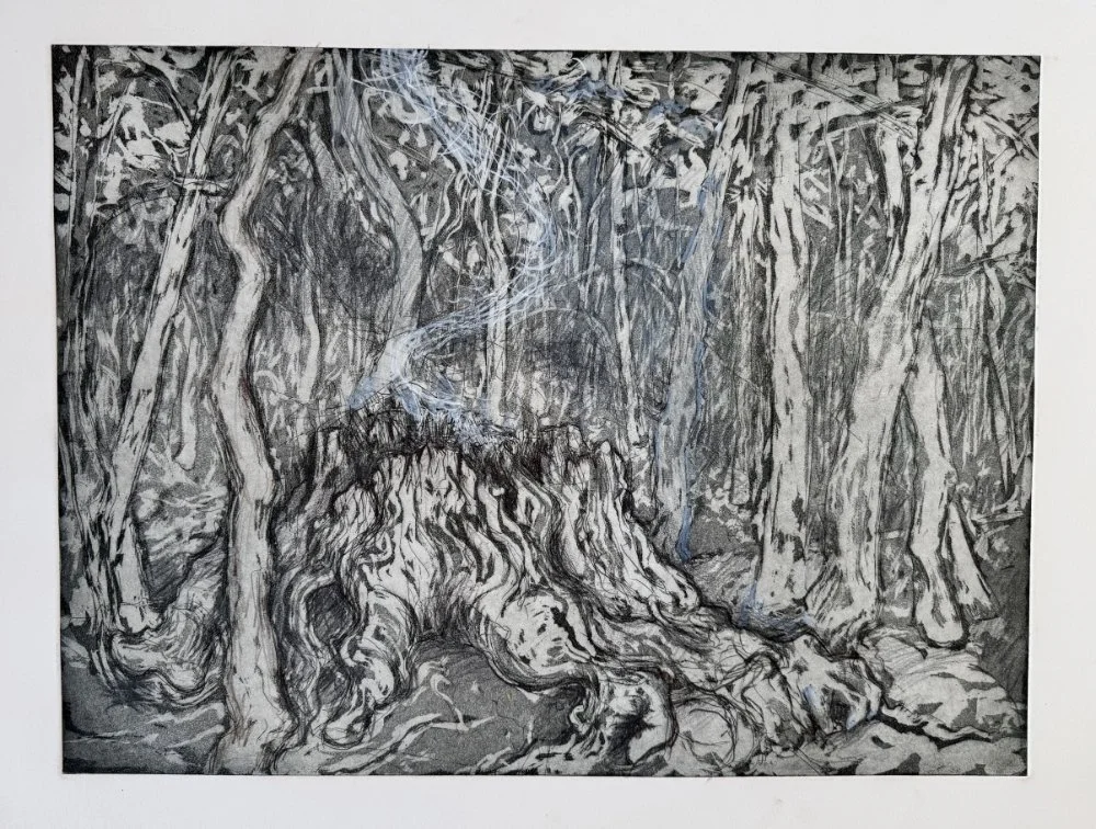 Black and white drawing of a forest scene, featuring a large, gnarled tree stump with visible roots, surrounded by tall trees and dense foliage.
