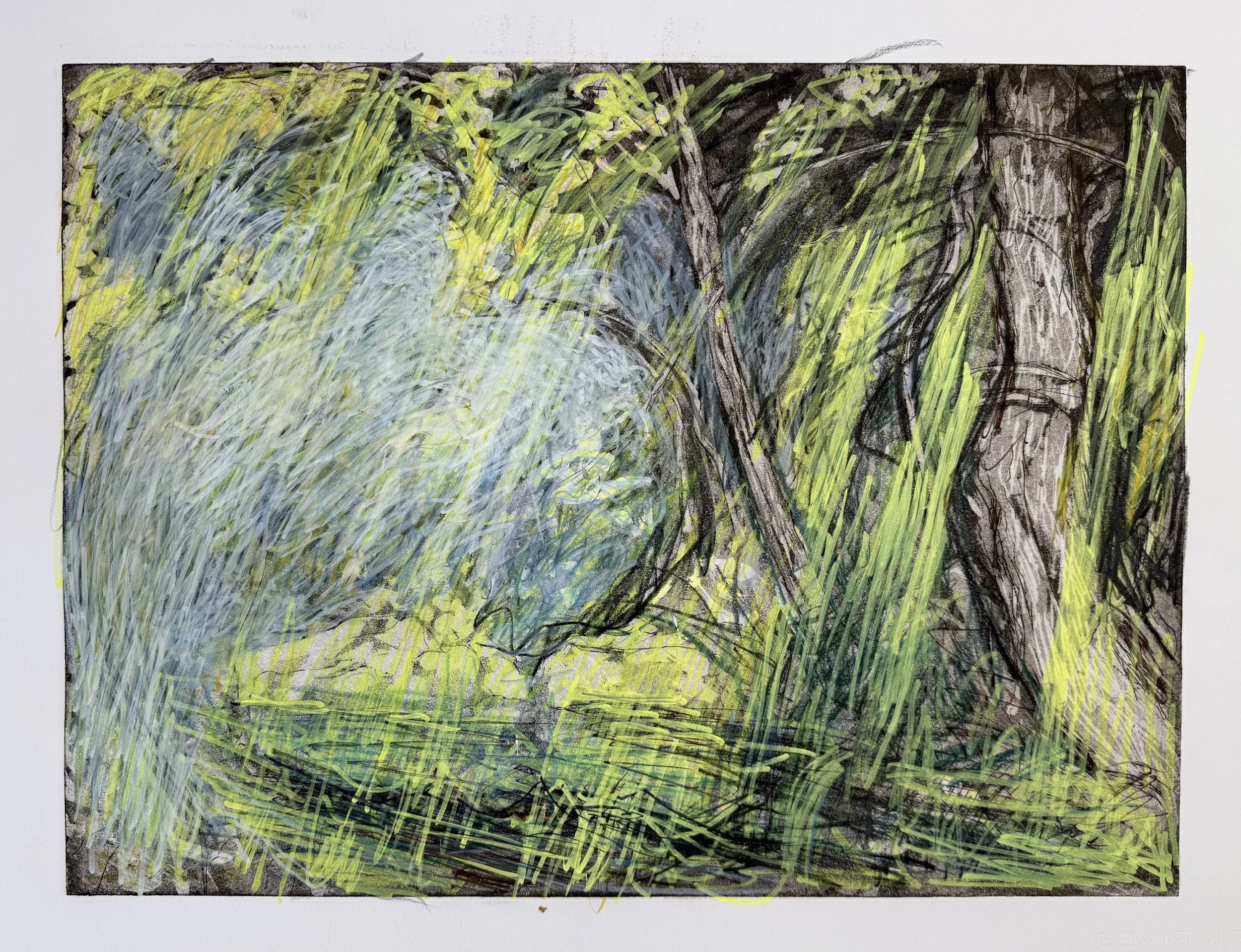 A colorful drawing of a forest scene with trees, grass, and a creek, created with various colored markers and lines.