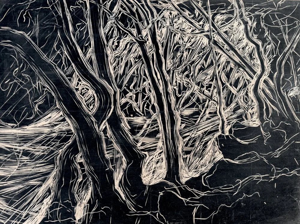 Black and white drawing of tangled tree roots and branches.