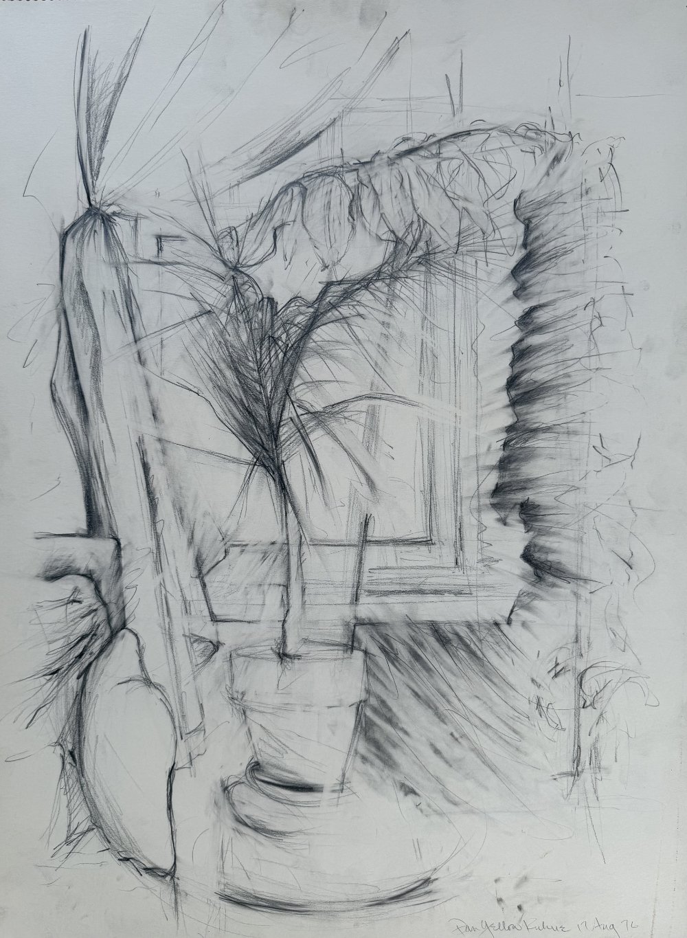 A pencil sketch of a potted plant with large leaves, placed in front of a window with curtains, in a room with wooden flooring.