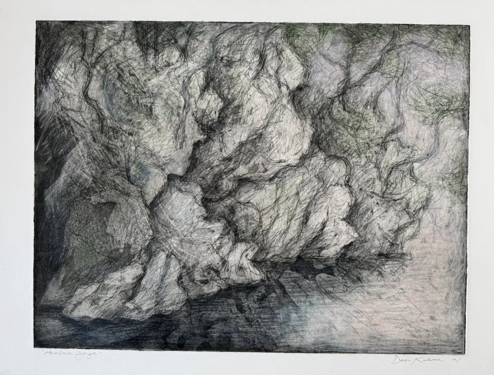 A drawing of rocks and trees with detailed shading and line work.