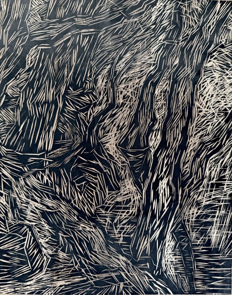 Abstract black and white line art featuring intricate, sharp, jagged lines and patterns