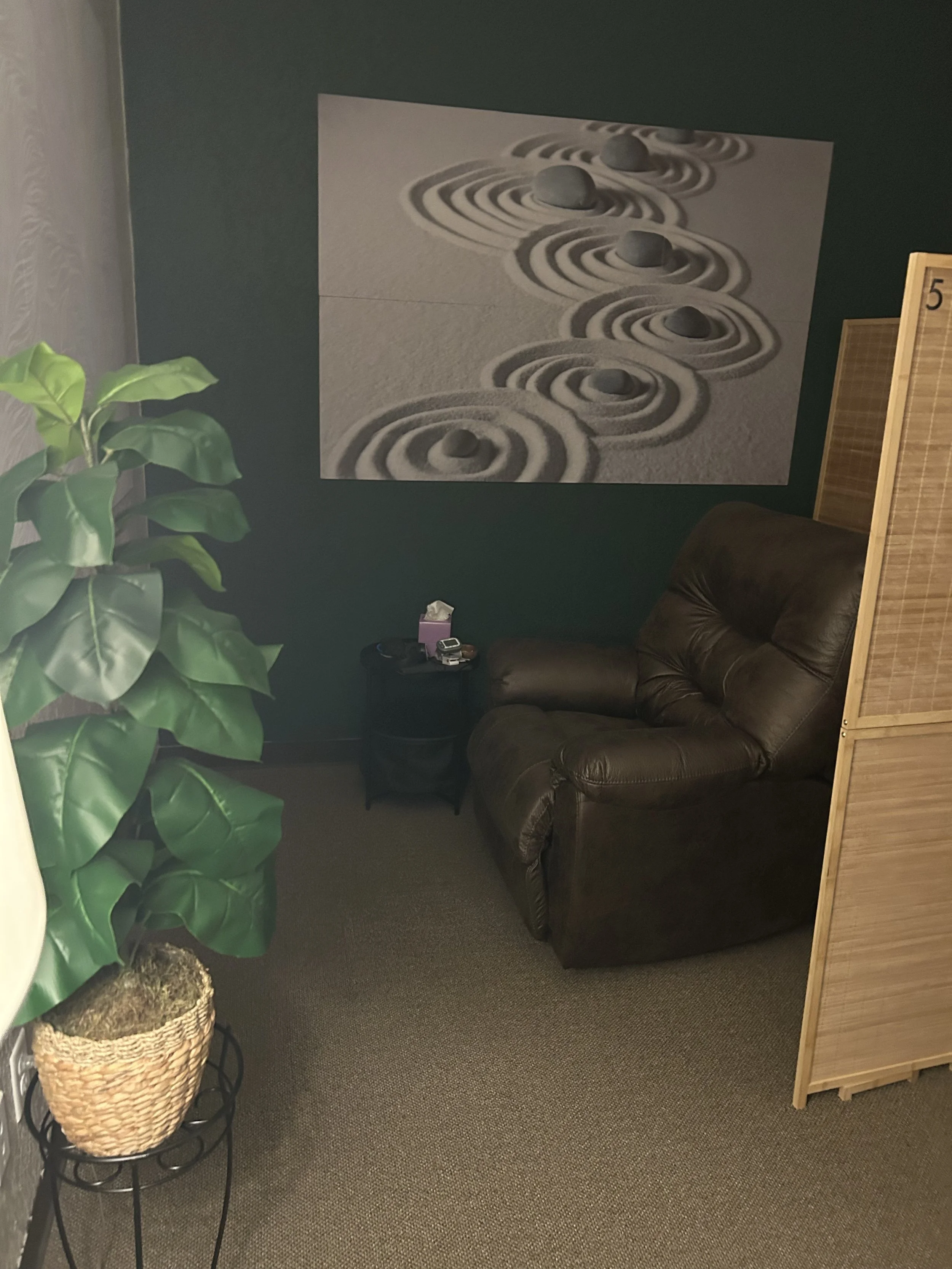 A cozy room featuring a single chair beside a vibrant green plant