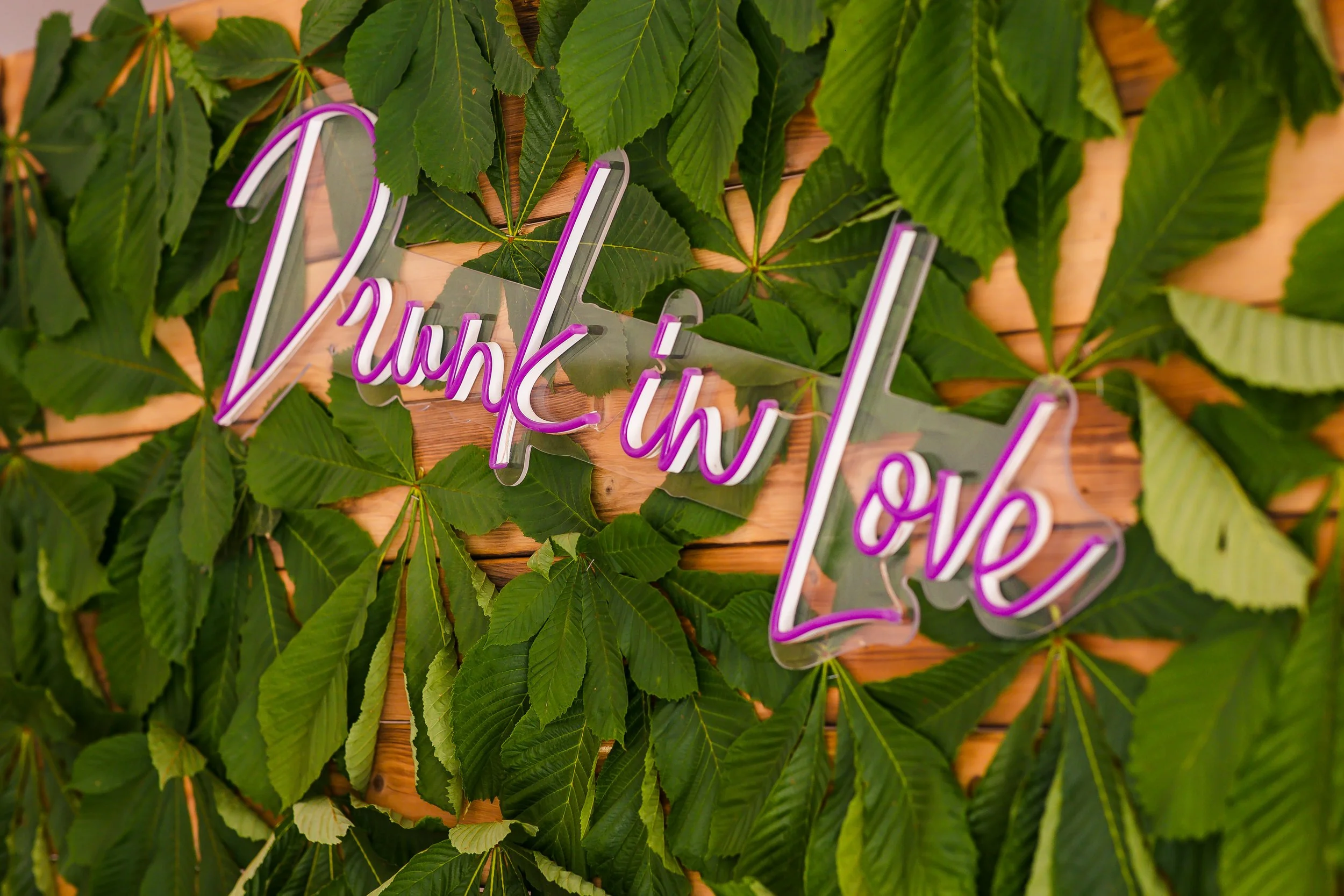 Neon-Schriftzug mit der Aufschrift „Drunk In Love“ vor einer Wand aus grünen Blättern