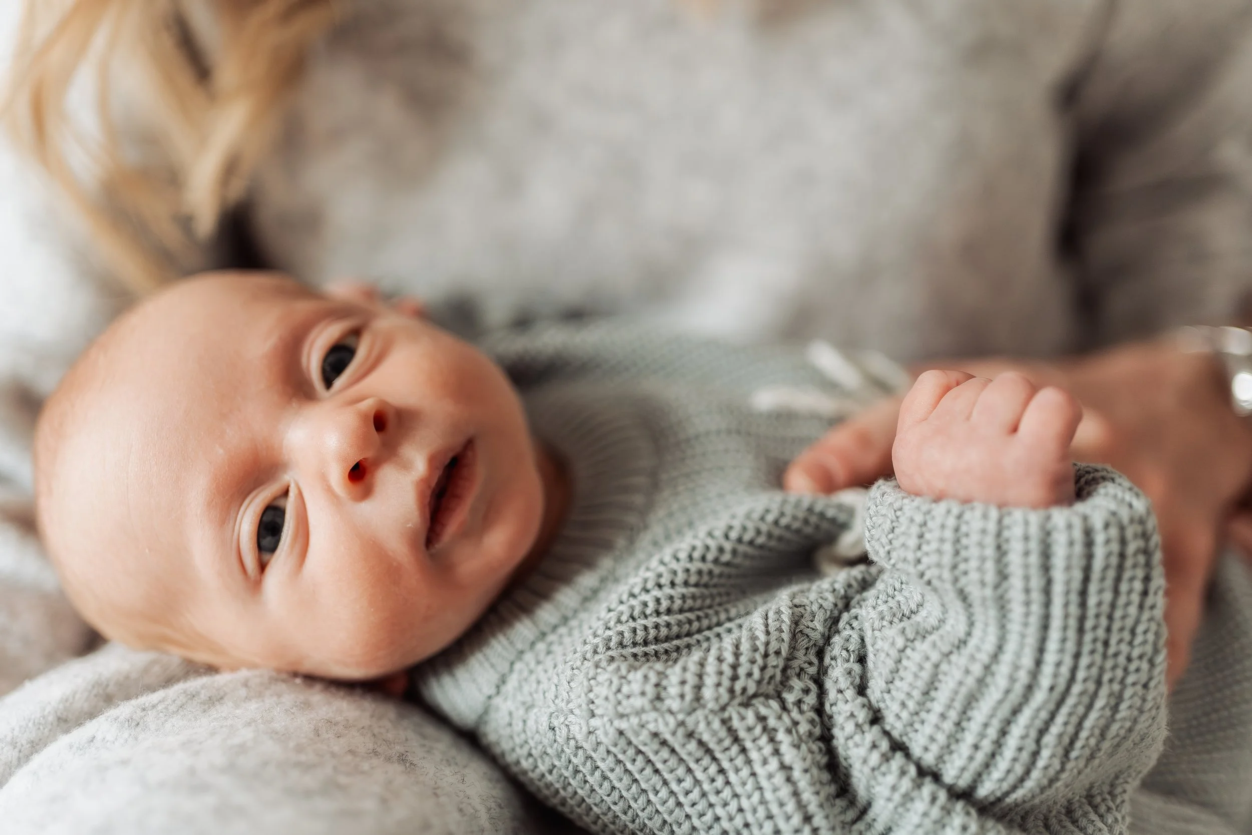 Toby (40 of 124).jpg