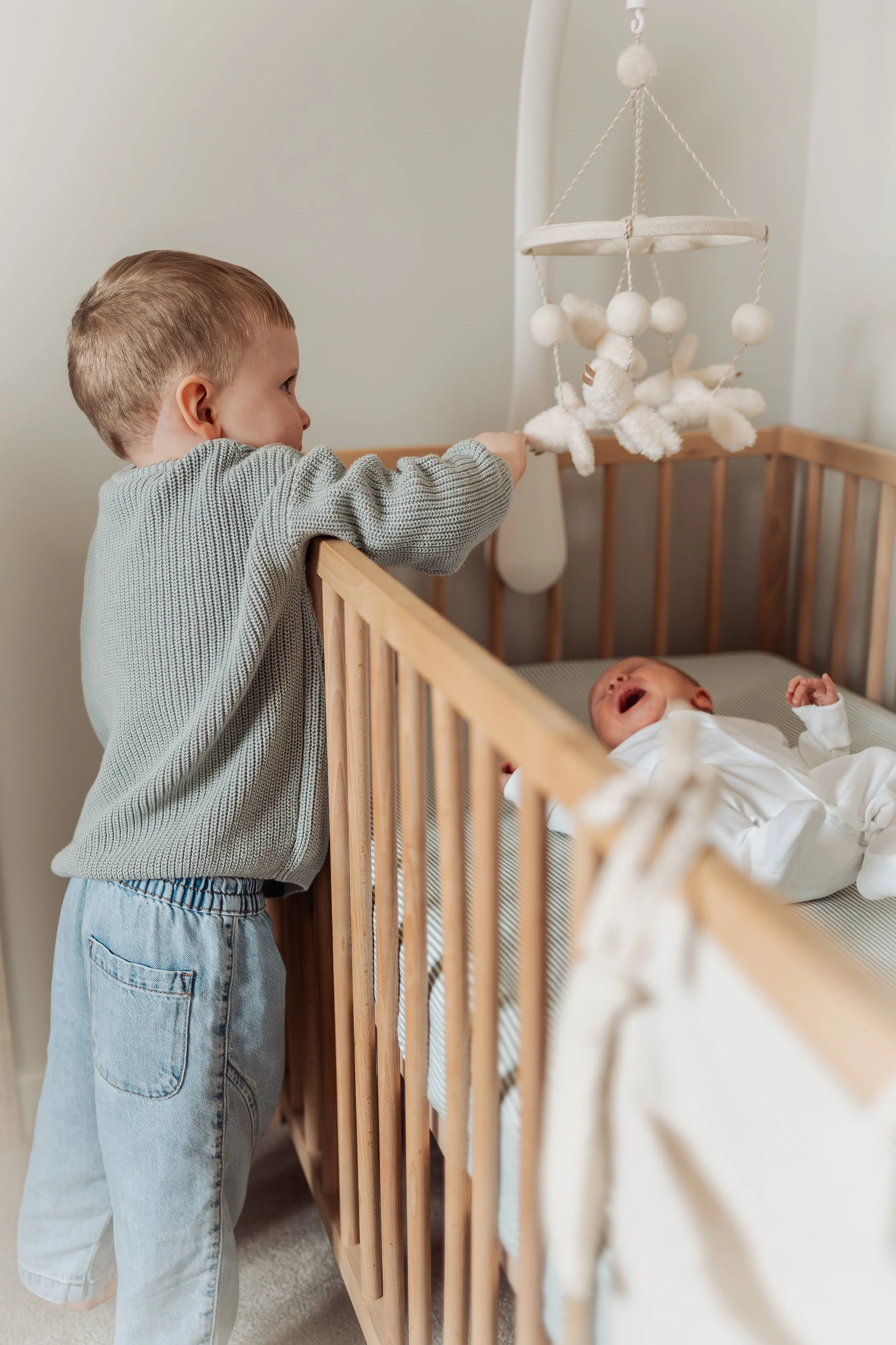 Toby (65 of 124).jpg