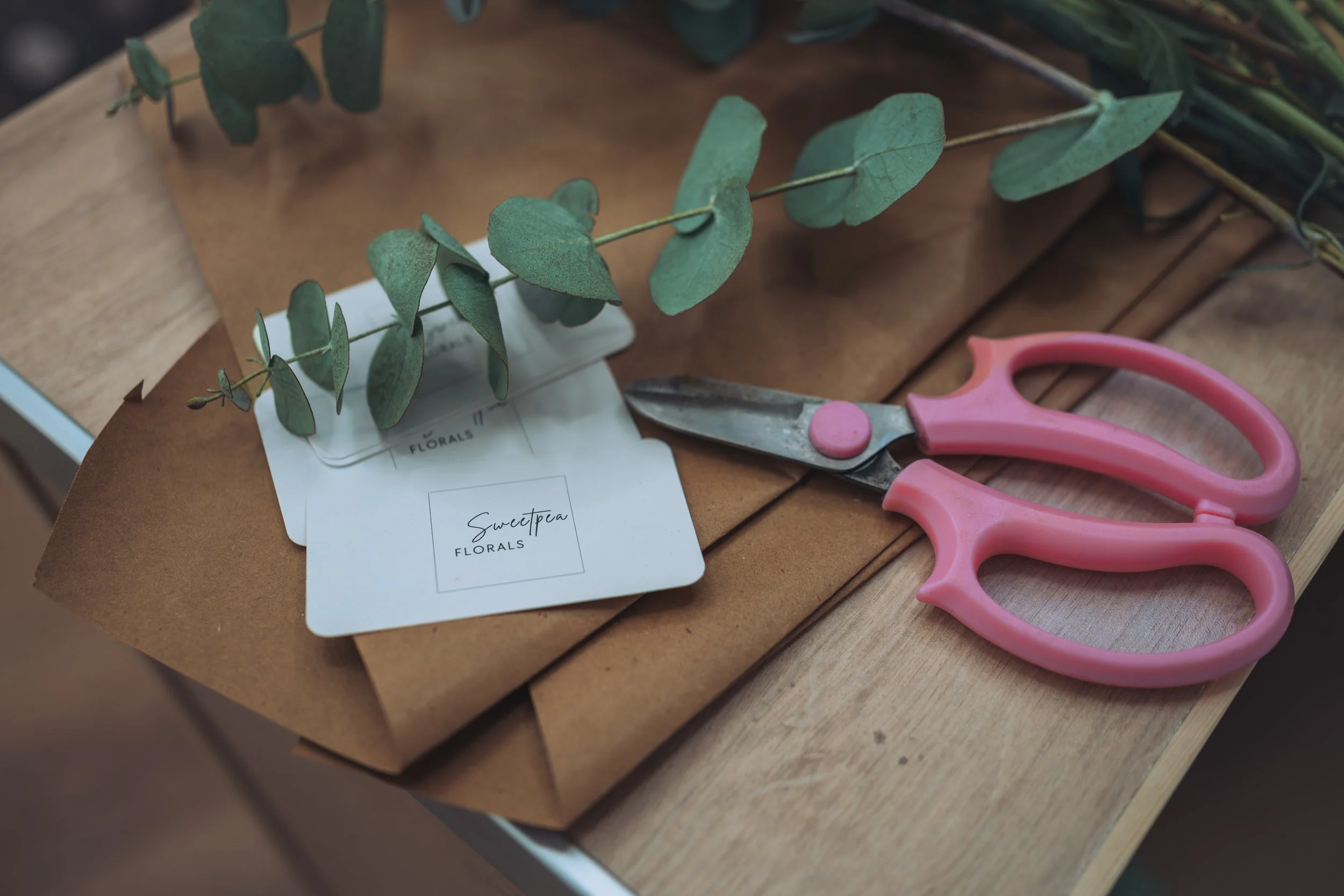 Events, Launches & Special Projects