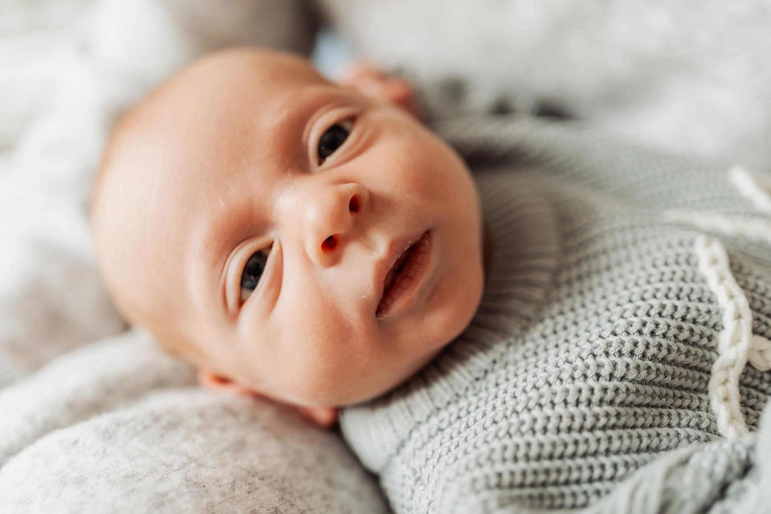 Toby (43 of 124).jpg