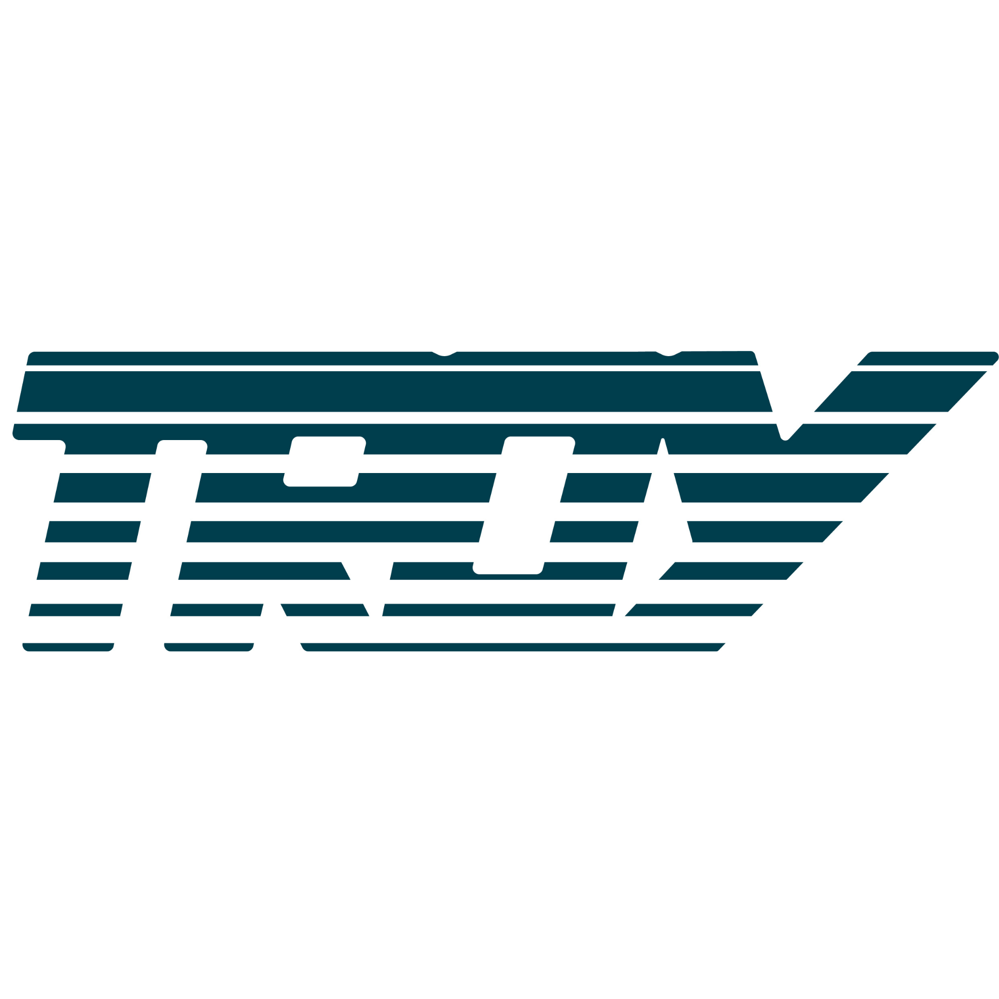 Troy logo in white text on a dark blue background