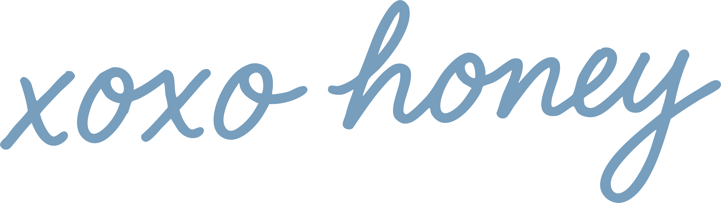 a hand drawn brand illustration of the brand mascots signature