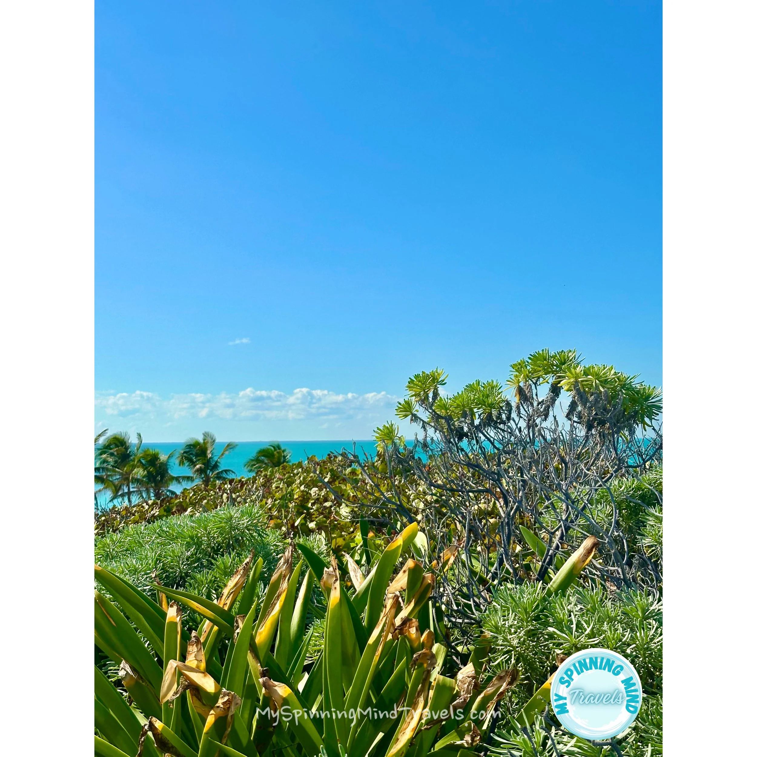 Isla Contoy - The off the beaten path excursion on a uninhabited Island. 