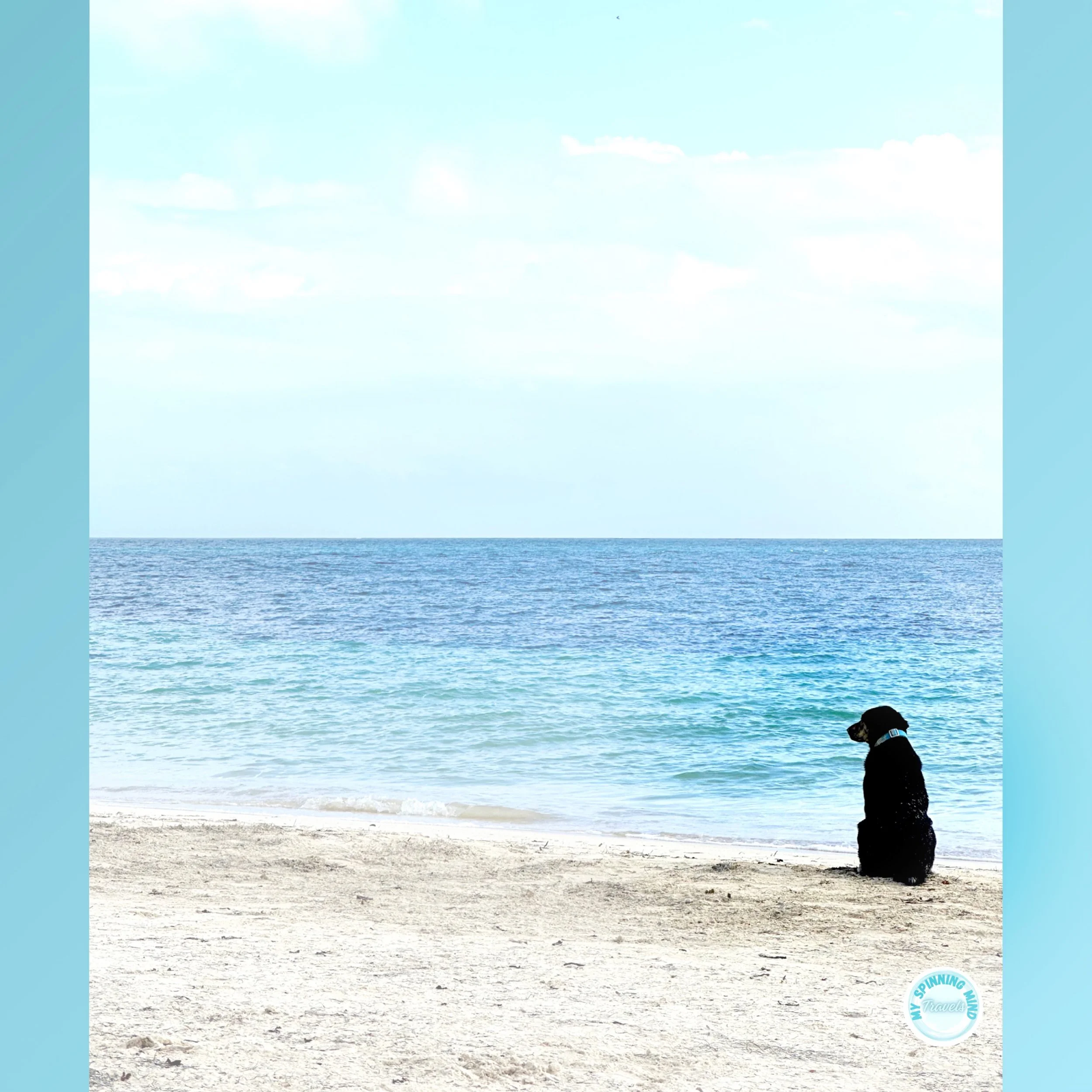 How I Overcame My Fear of International Travel  