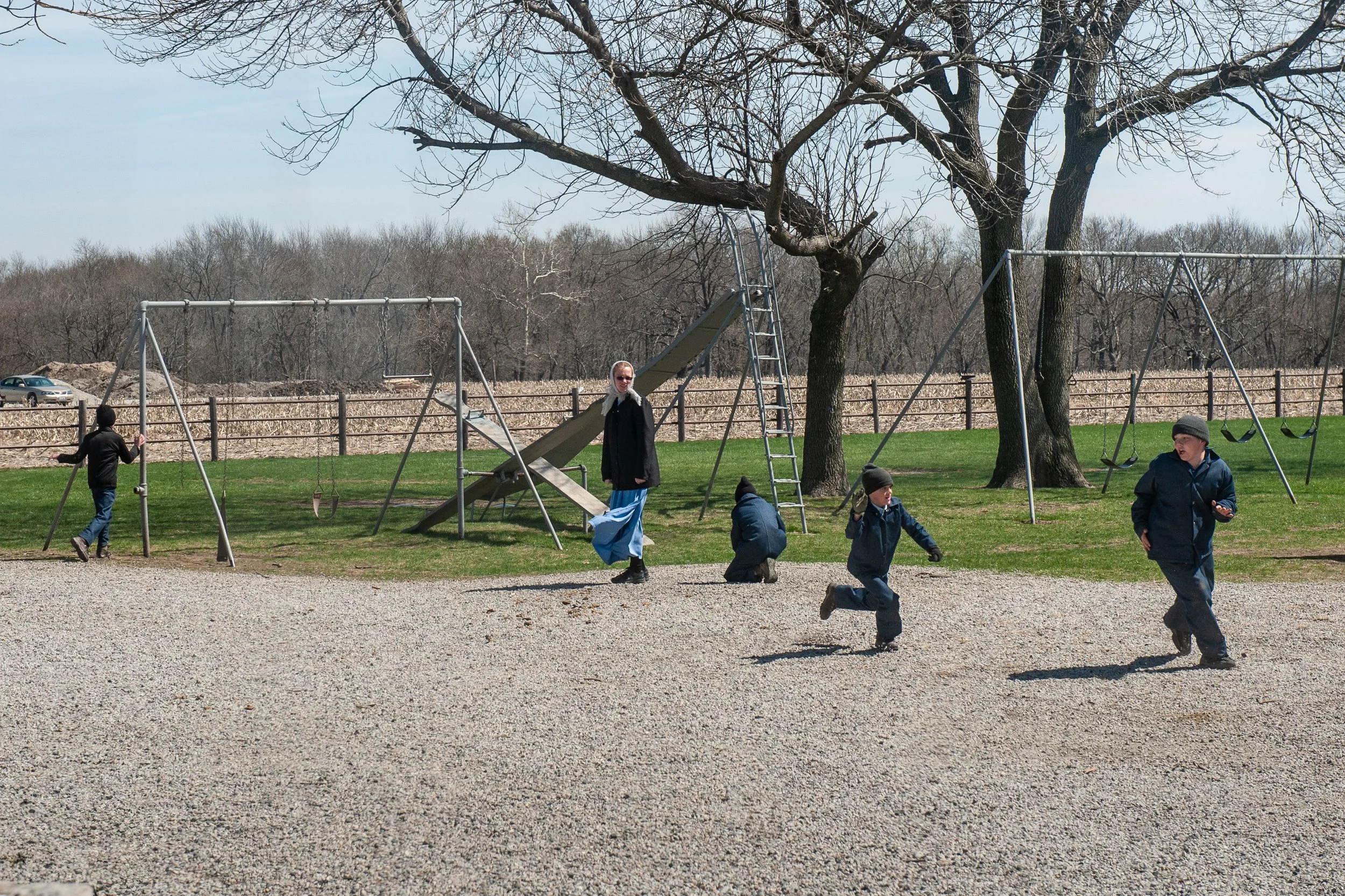 Kinder spielen im Park unter Bäumen, einige schaukeln, andere rennen, bei schönem Wetter.