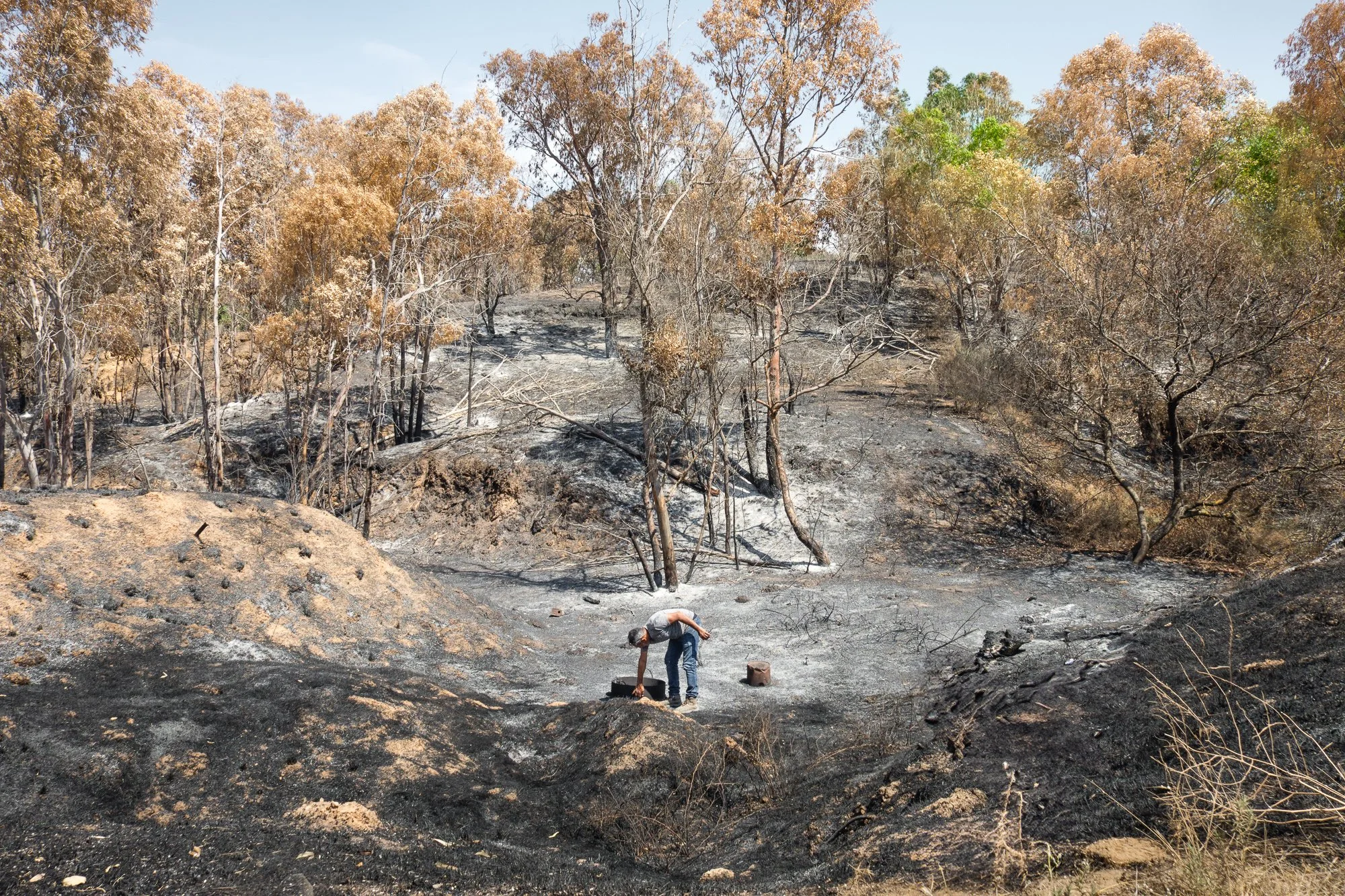 Person untersucht Bereich nach einem Waldbraunbrand, umgeben von verkohlten Bäumen und verbrannten Böden.