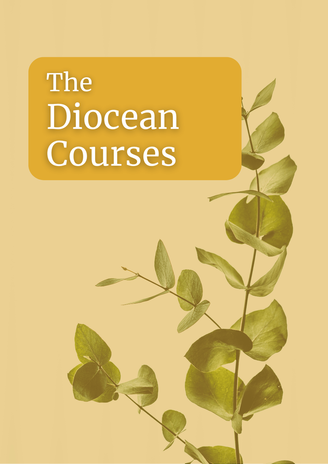 The Diocean Courses (1414 x 2000 px).png