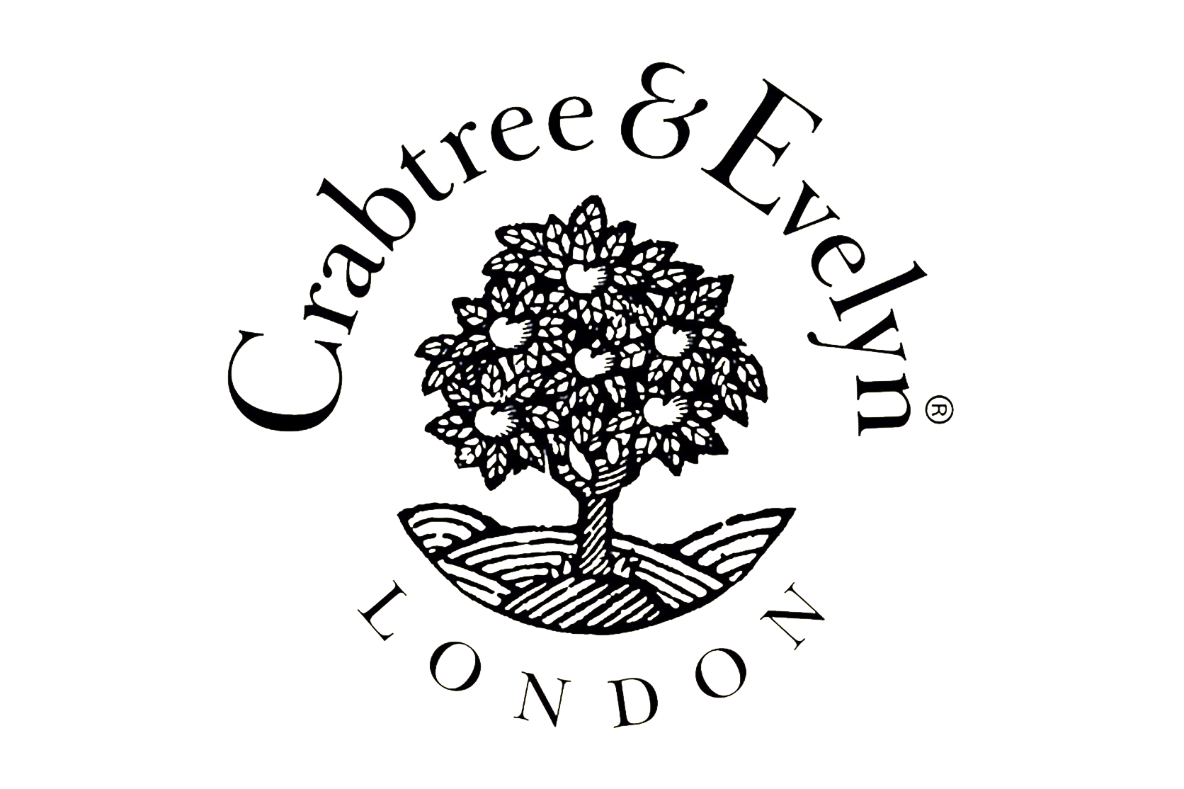 Cranberry & E.L.V.E.N. logo featuring a cranberry plant with leaves, in black and white outline.