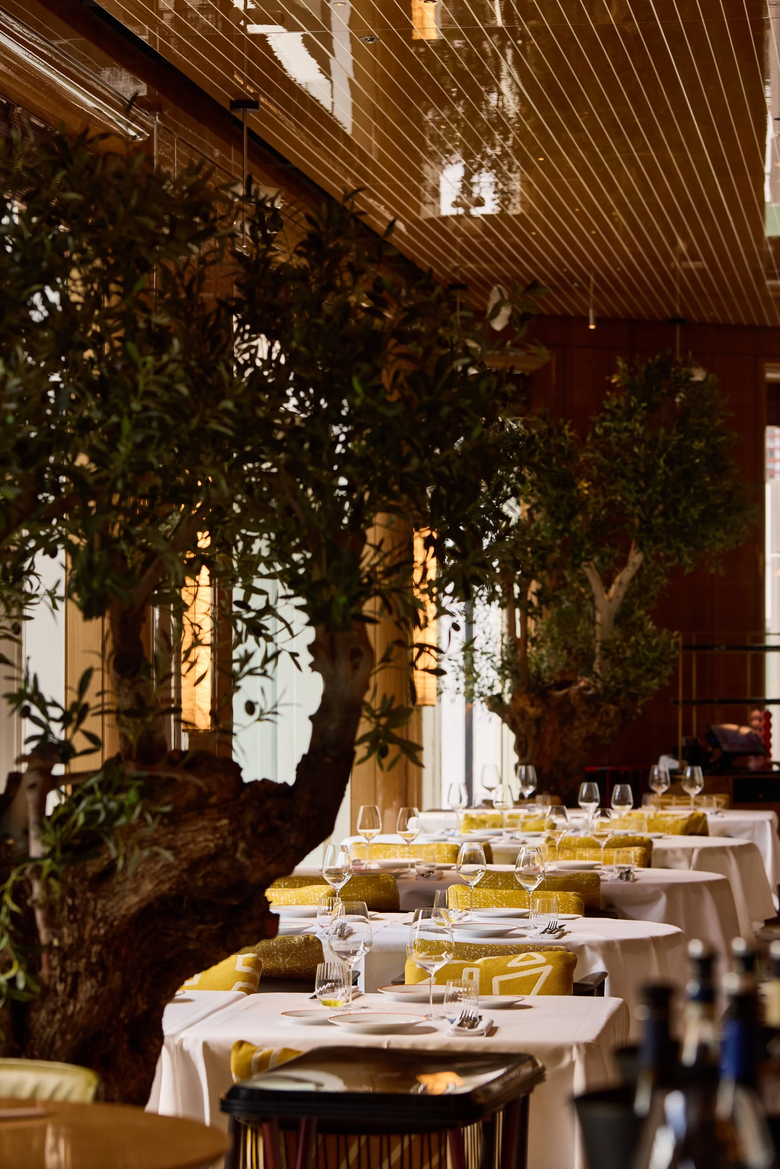 Founders Sip &amp; Social-Alba Resturant  (Copy)