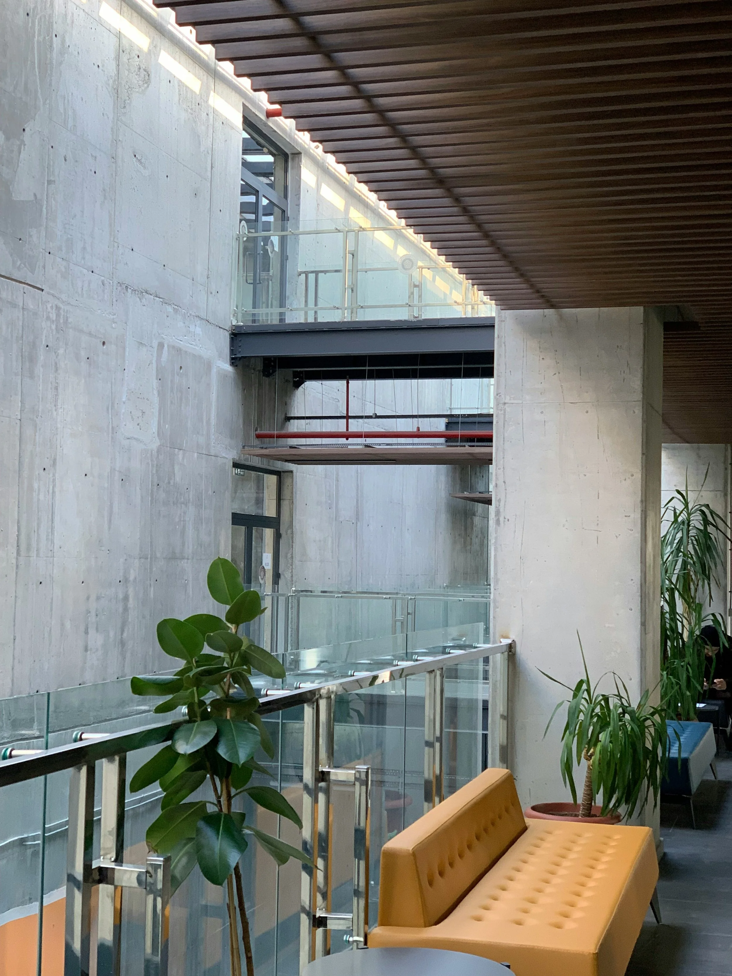 Interior view of a modern building with concrete walls, wooden ceiling, glass railings, green potted plants, and a yellow sofa in the foreground.