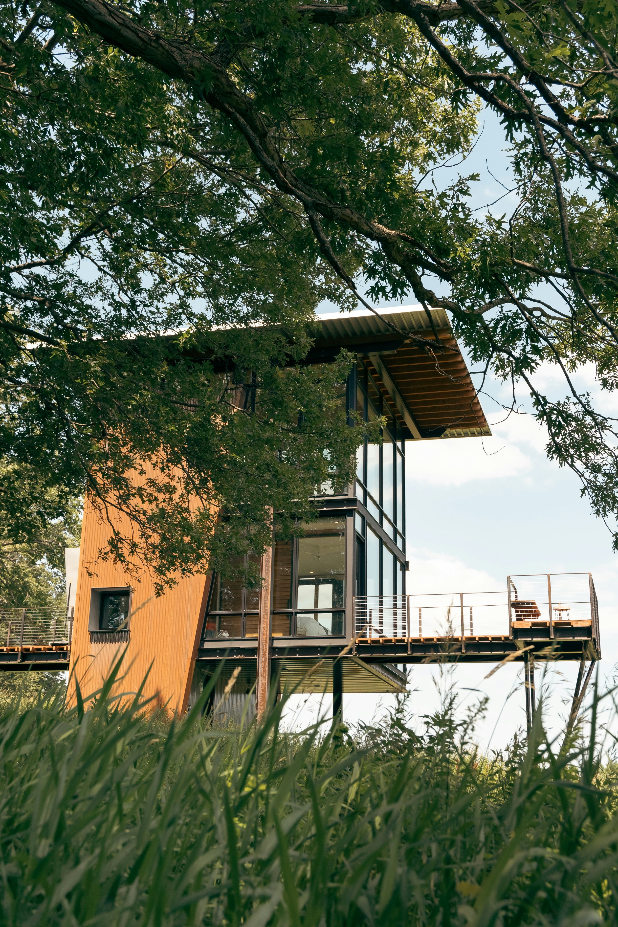 Modern house elevated on stilts among green trees and tall grass, with large glass windows and a wooden exterior.
