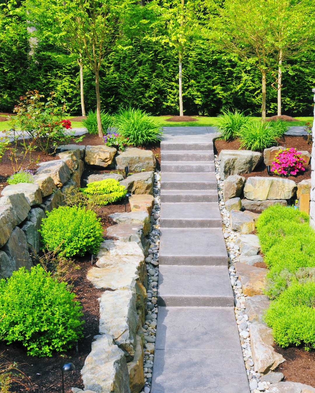 Stone steps leading up a landscaped garden with bushes, flowers, and trees.