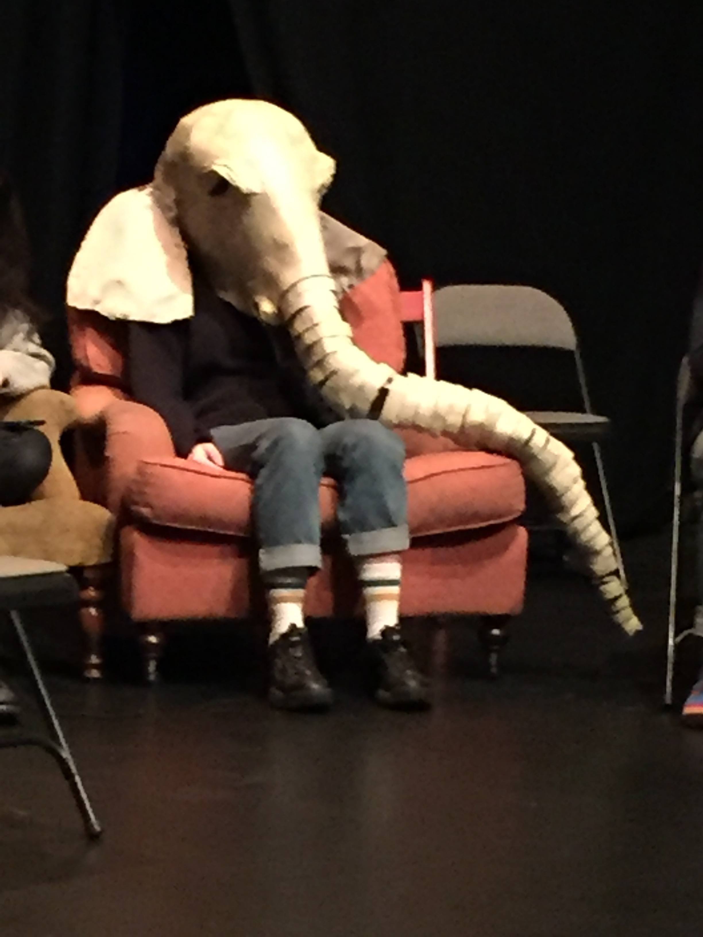The elephant in the room at the Serious Circus Symposium