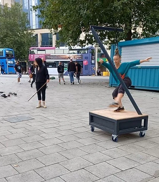 we herded the much-maligned pigeons