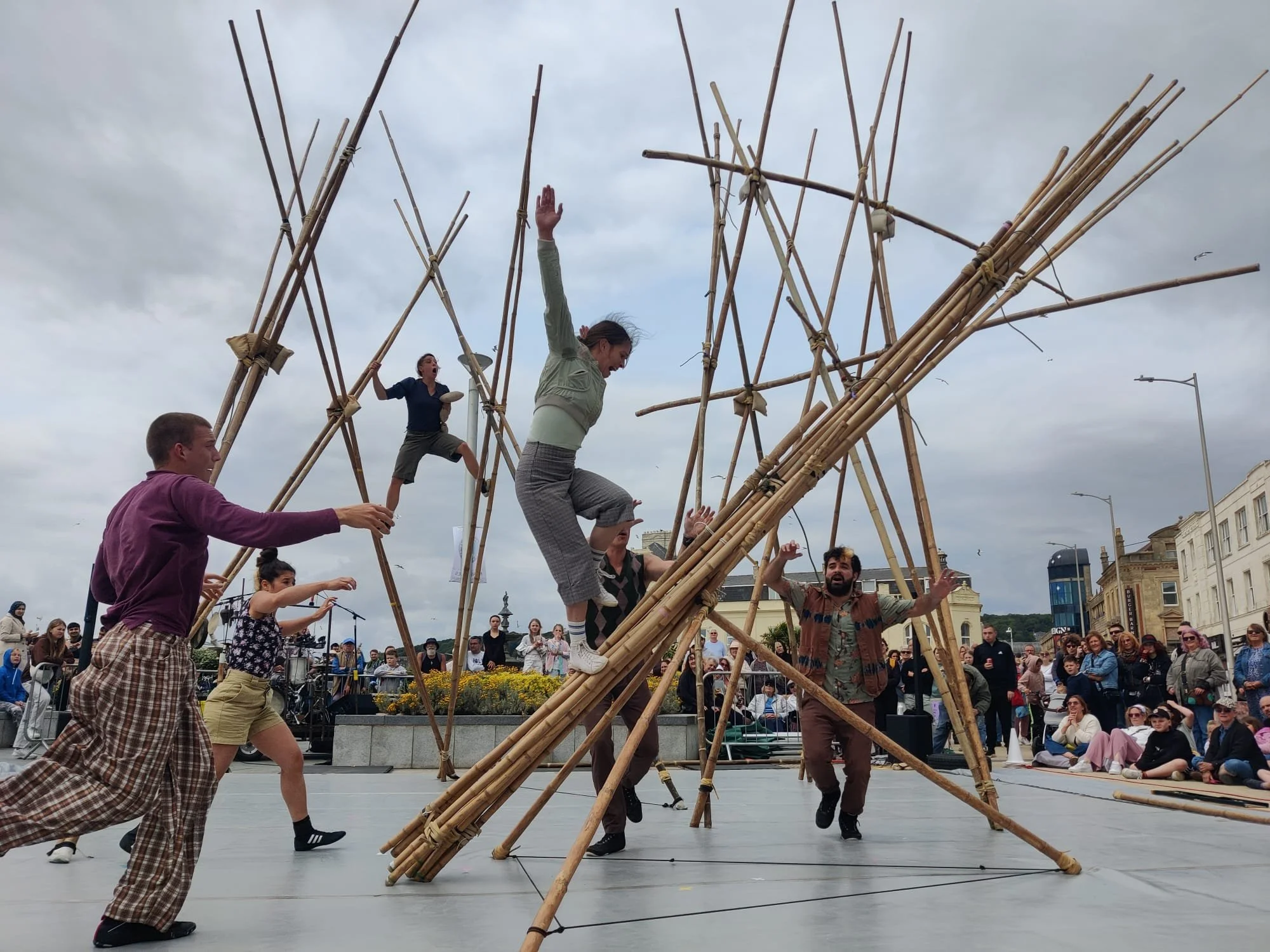 Bamboo Photo Stav Meisher