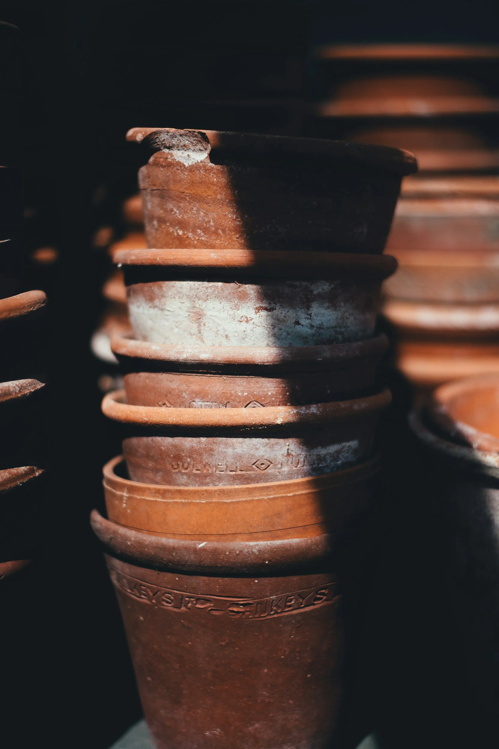 unsplash-image-bewql7eEL0A.jpg