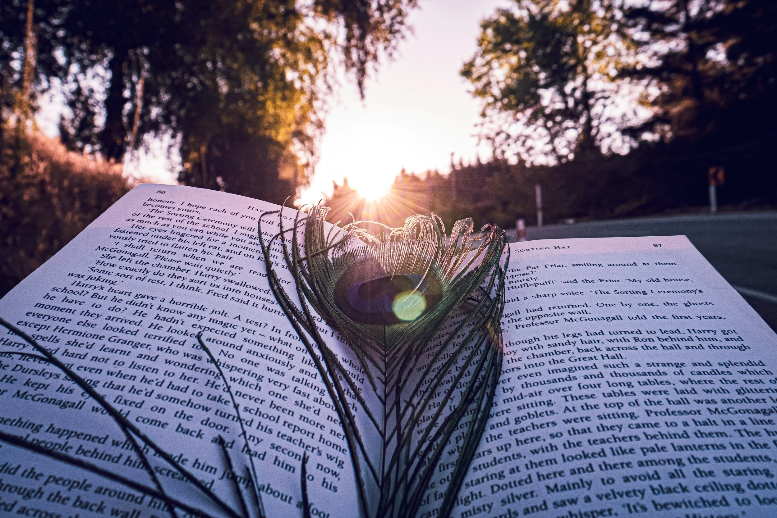 Floored and fabulous emotional support and guidance