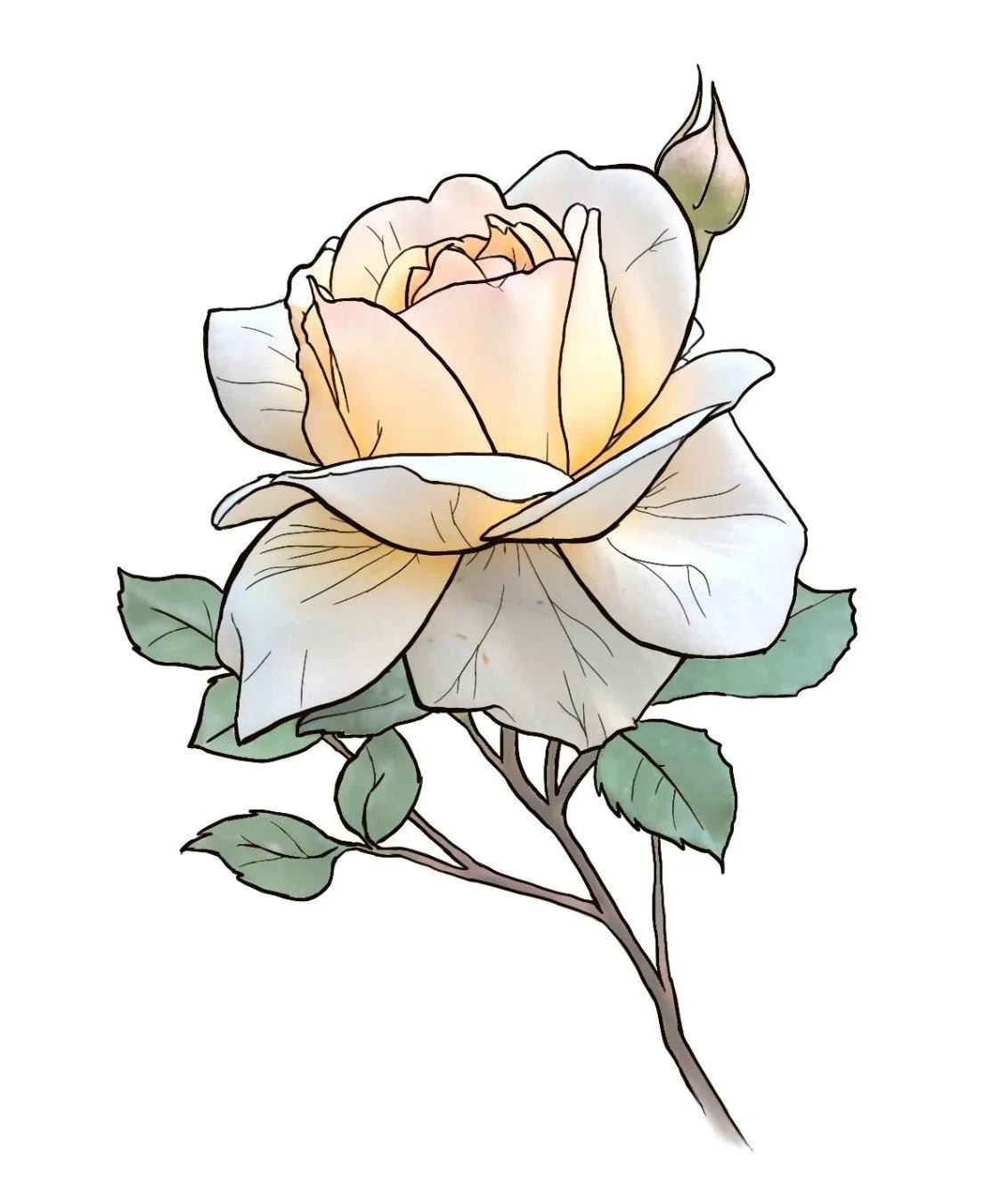 Drawing of a yellow Rose by Maelle Leclercq