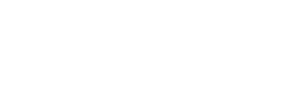Moonlight Global Staffing