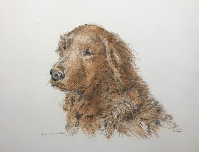 Golden Portrait 
c. 1969 
 Pen & Ink w/ Wash  – Signed 
13” X 26” 
John C. Menihan (1908–1992)  
Availability: 
• Originals: In Private Collections / Available 
• Limited Edition Prints: Available in editions of 50 
 TAGS: Portrait