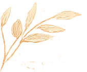 A close-up of a beige plant branch with elongated leaves on a black background.