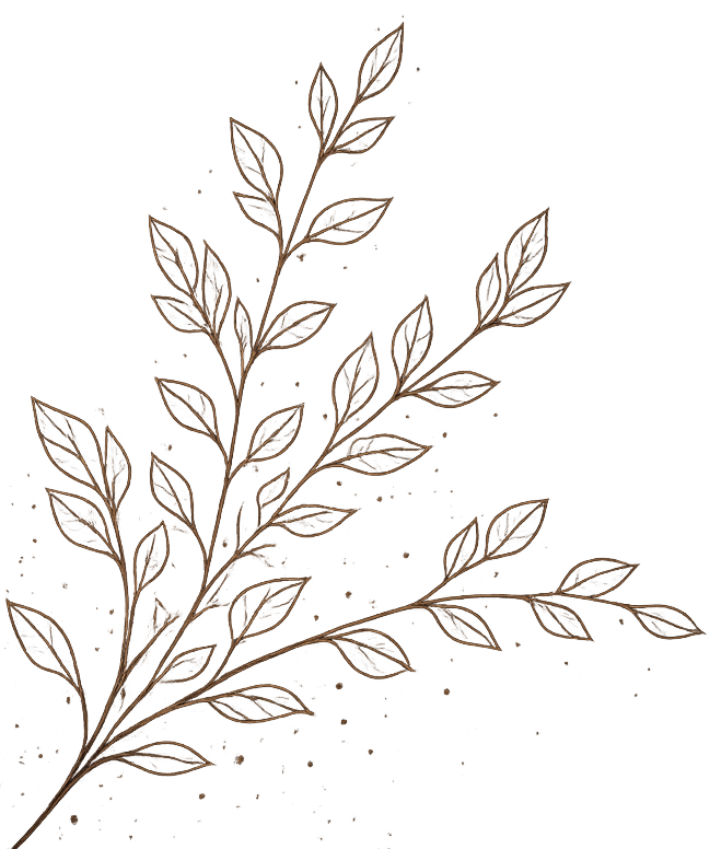 Illustration of a leafy plant branch with numerous leaves on a dark background.