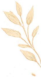 A beige, stylized illustration of a branch with multiple elongated leaves.