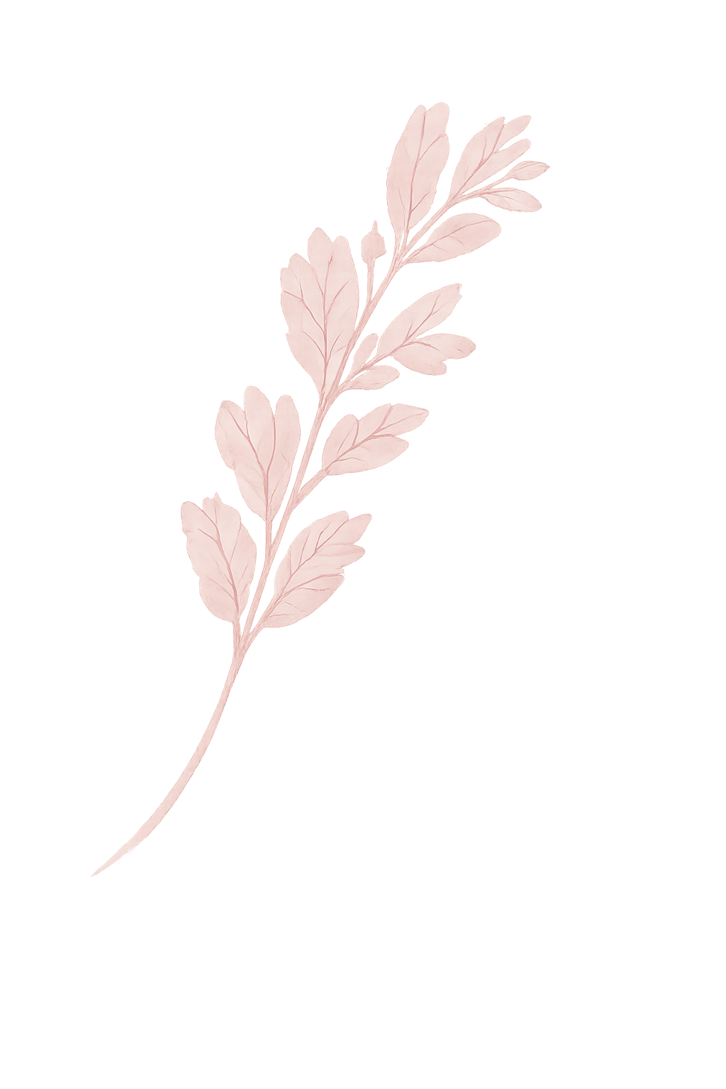 Delicate, semi-transparent pink leaf with multiple smaller leaves, glowing on a dark background.