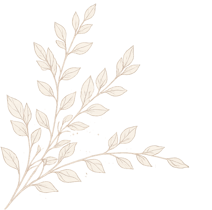 A light-colored, detailed illustration of a leafy branch with multiple small leaves.