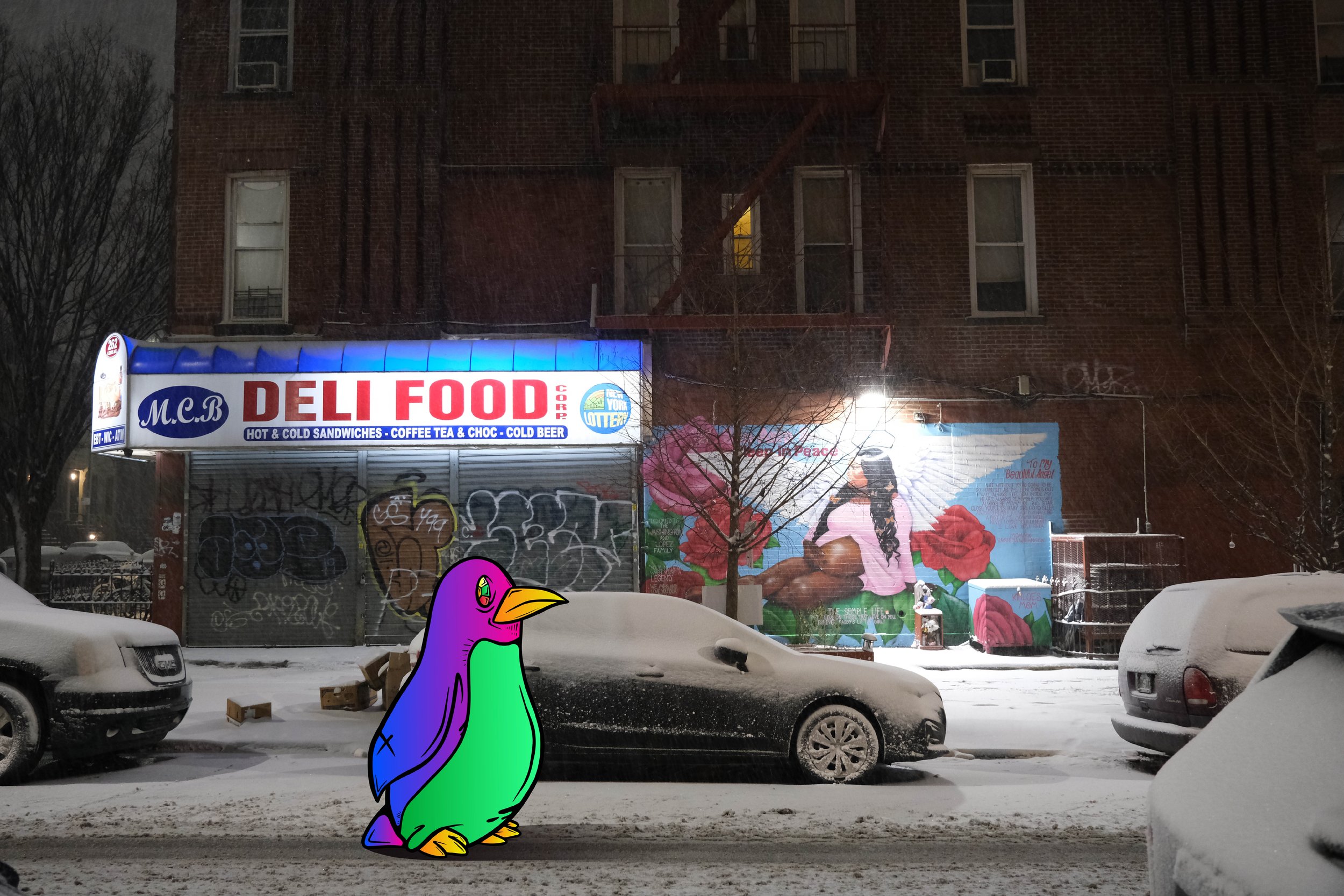 092 Pinot x Lewis Ave Bedstuy.jpg