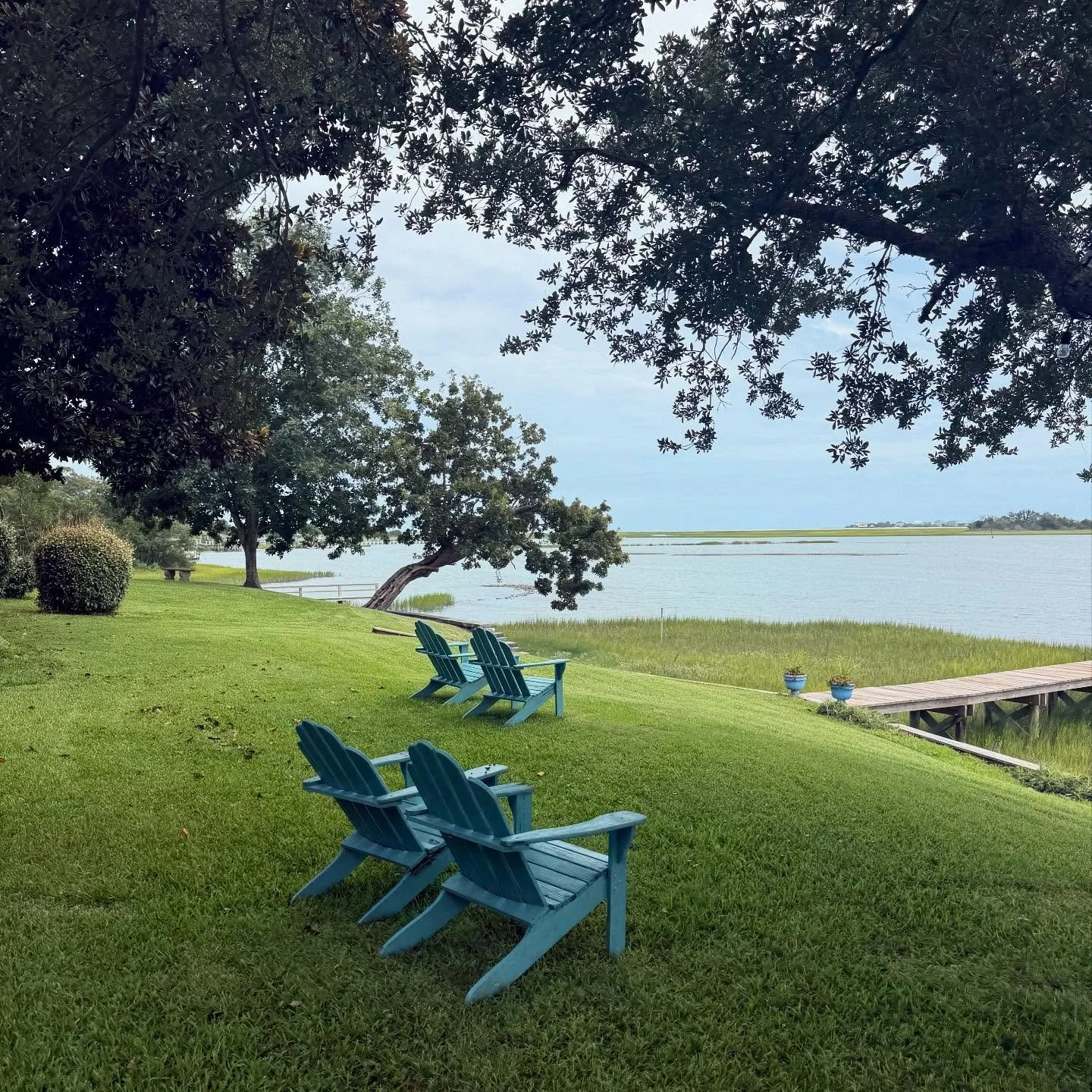 august things 🏝️ 🌊 🎢 🌻☀️

1. My parents&rsquo; backyard is one of my happy places
2. Feeding the wolves aka Fenrys and fam at Busch Gardens
3. Mini golf (we had the best weekend for my lil guy&rsquo;s 9th bday) 
4. My fave Williamsburg coffee spo