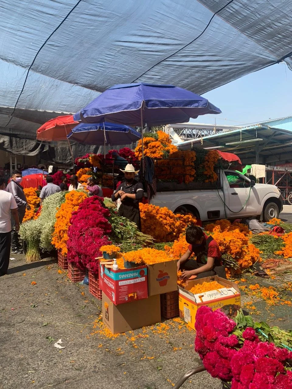 Marigolds at the Mercados in October in Mexico