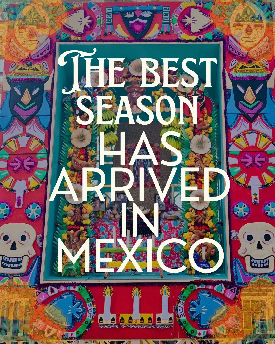 The best season has arrived. 🌼💀

As October approaches, Mexico comes more alive with a little more colour, a little more sweetness, and a lot of tradition.

The scent of cempas&uacute;chil, freshly baked pan de muerto, colourful ofrendas, painted C