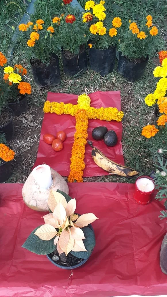 Marigolds day of the dead
