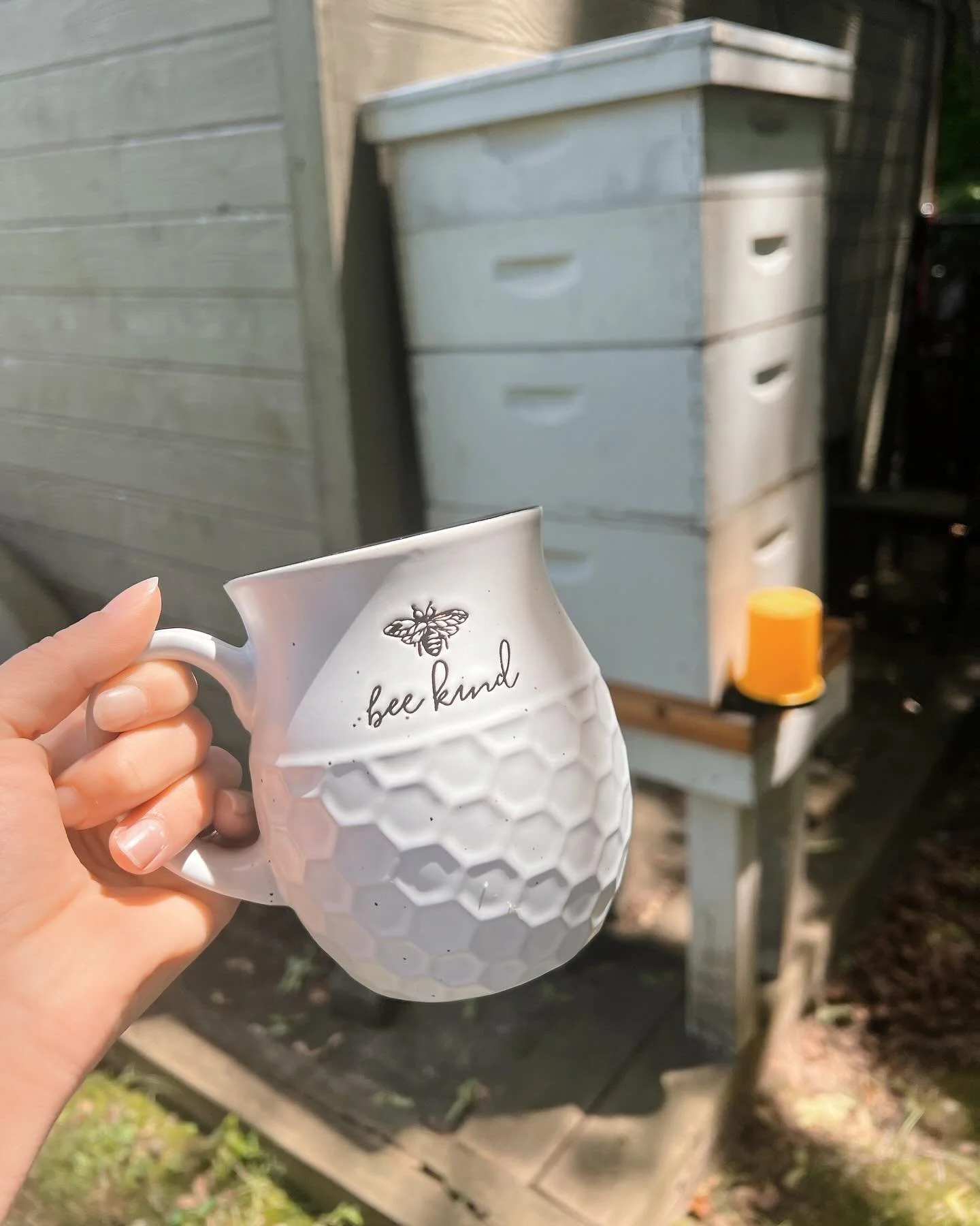 Breakfast with the bees ☕️🐝