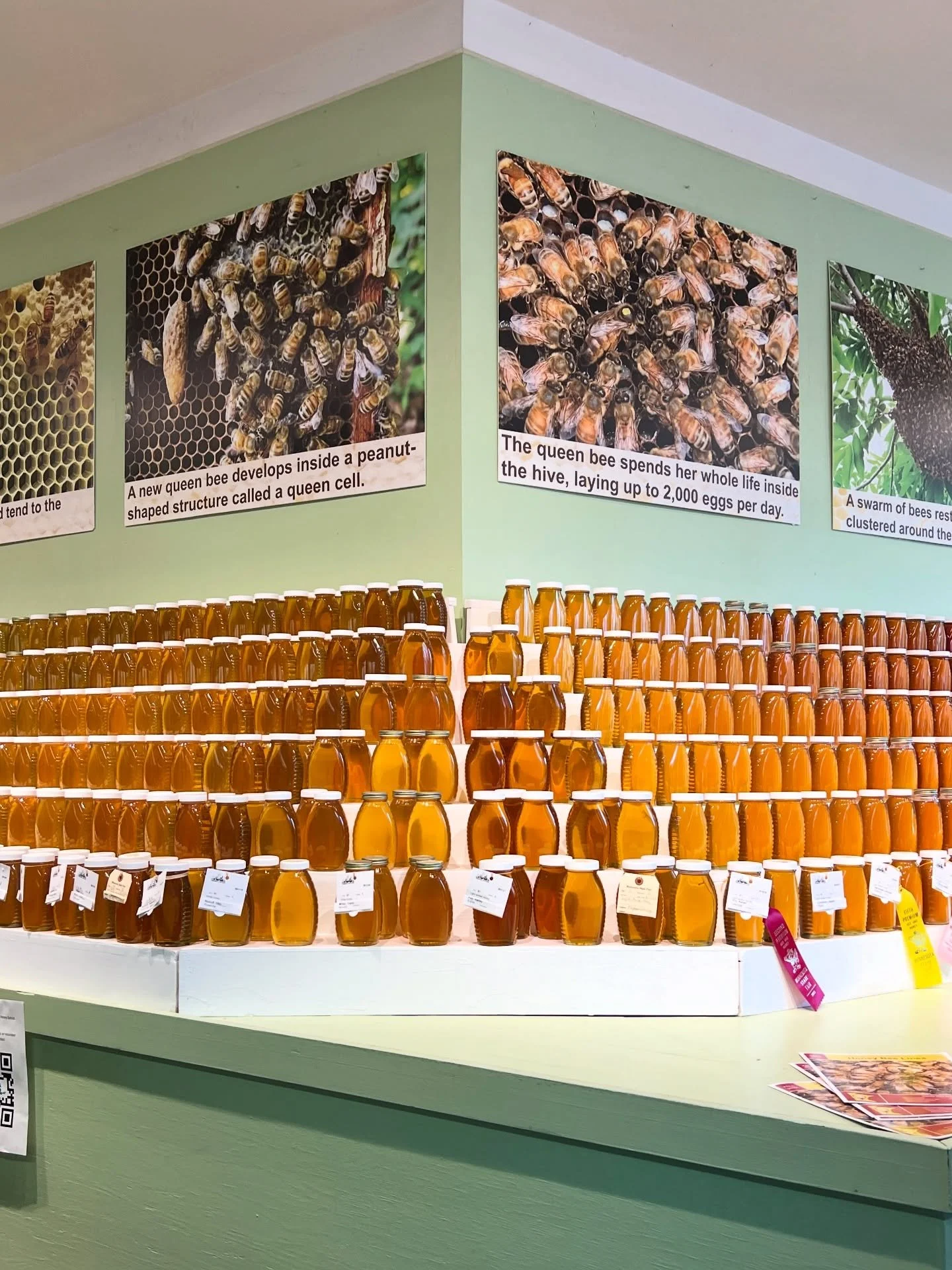 Checking out the buzz at the Minnesota State Fair 🎡🐝

#BeachBumBees #SaveTheBees #HoneyLovers #BeekeepersLife #SustainableBeekeeping #LocalHoney #MinnesotaStateFair #MNStateFair #GreatMinnesotaGetTogether #OnlyInMN #ExploreMinnesota #SupportLocalMN