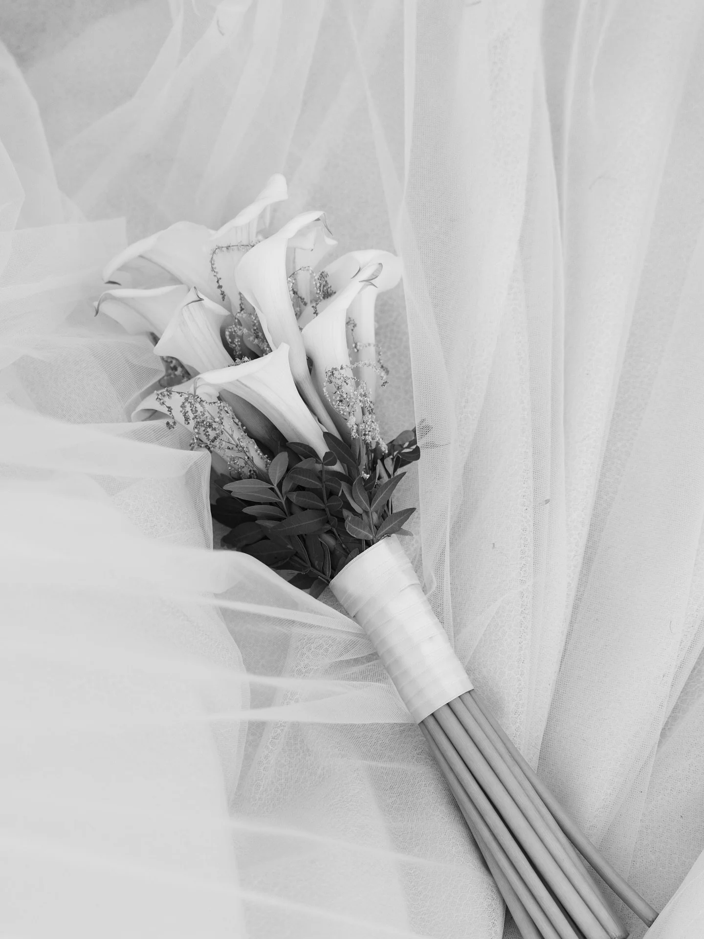 Entre calas y tul
2 de agosto

#fotografiadebodas #videodeboda #bodas2025 #bodas2026 #novia2025 #fotografodebodas #bodasespa&ntilde;a #bodasmadrid #bodasbarcelona